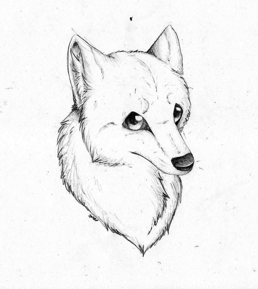 Wolf Face by PandorasWolf on DeviantArt