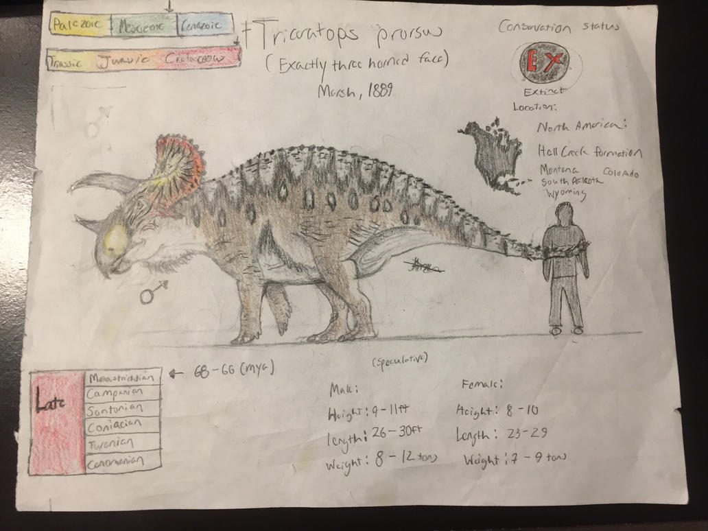Triceratops prorsus (male) by CoelurosaurianArtist