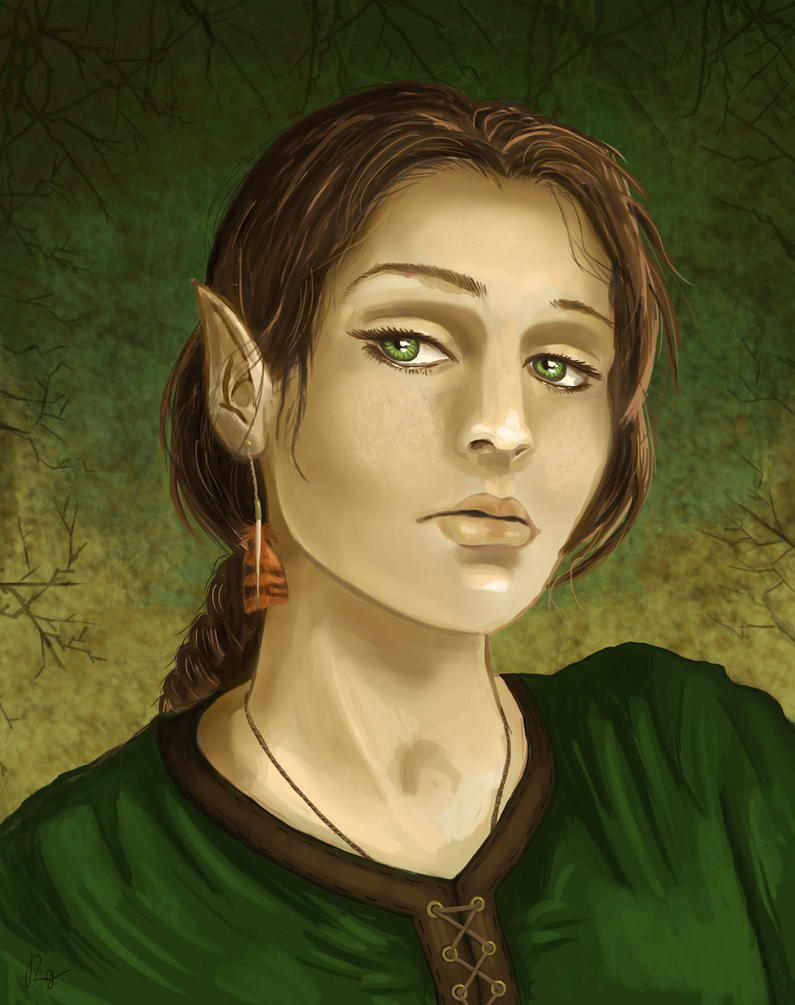 elf_druid_of_the_hawk_by_scarecrowlover-d5atyqp.jpg