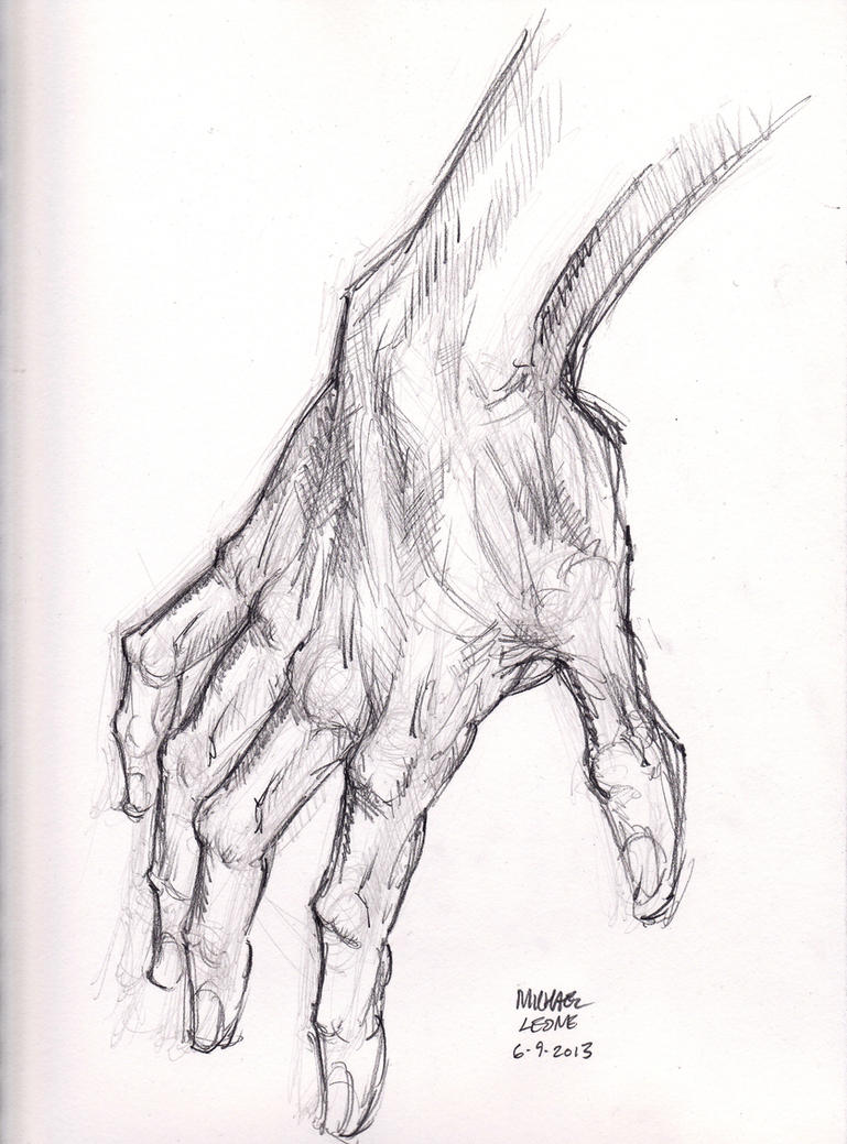 Burne Hogarth Drawing Dynamic Hands : Burne Hogarth : Free 