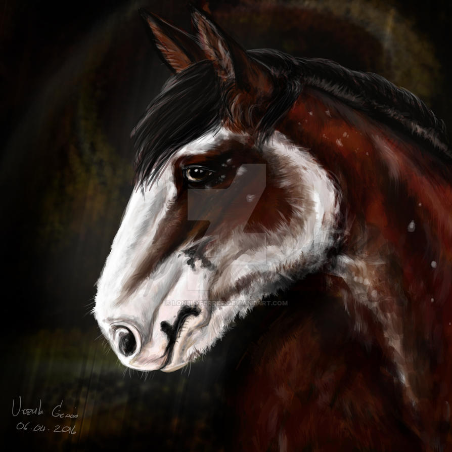 clydesdale_by_lonelyferret-d9y1vh4.jpg
